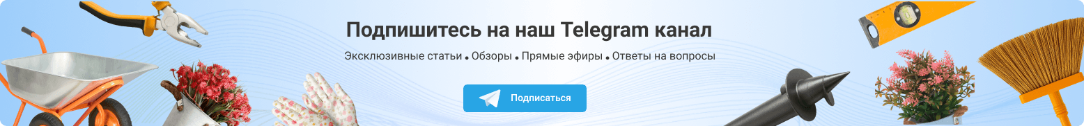 Подпишитесь на наш Telegram канал 